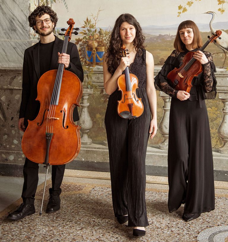 Trio-David_bio